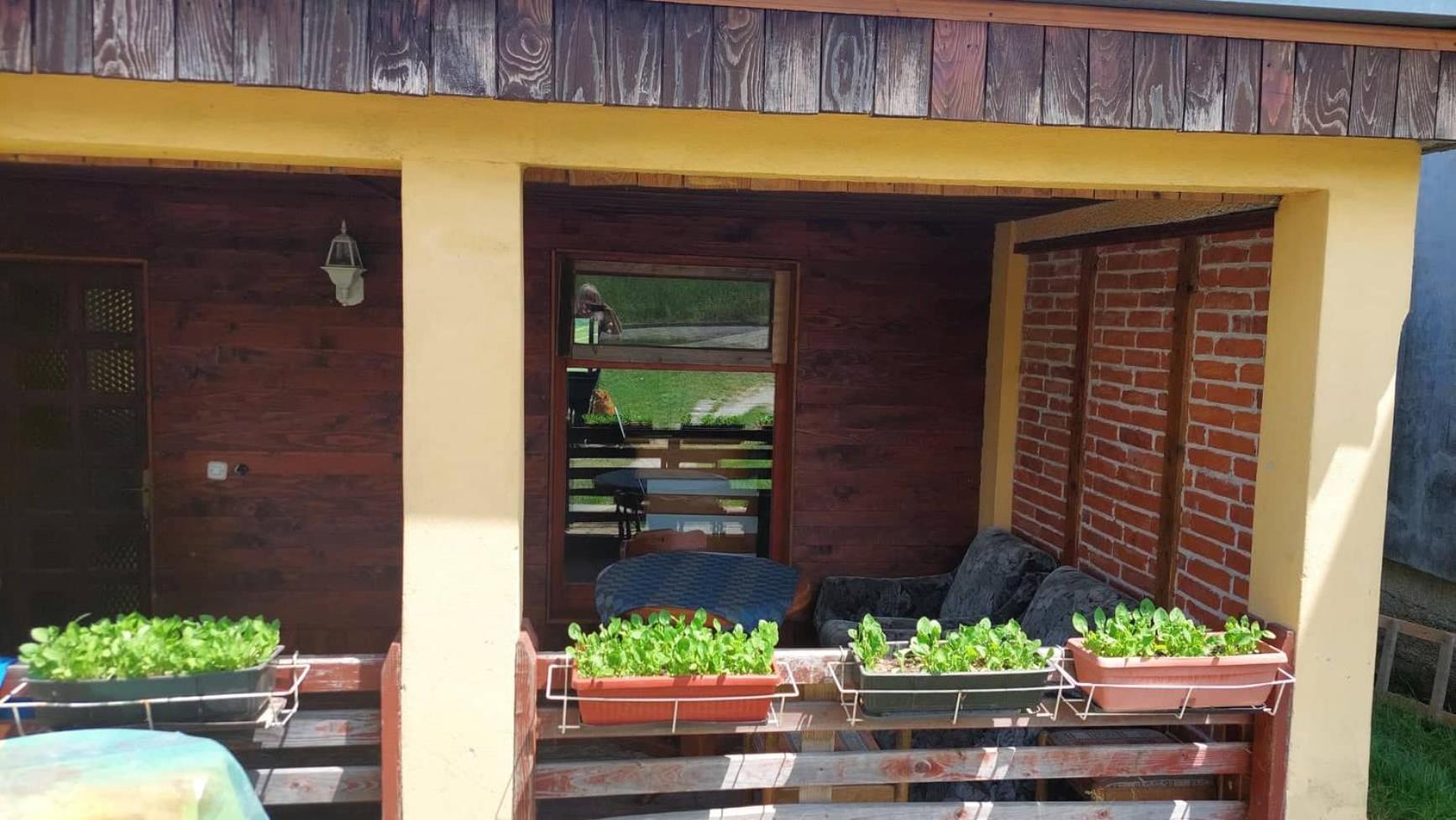 Farma 2 Guest House Cazin Exterior photo